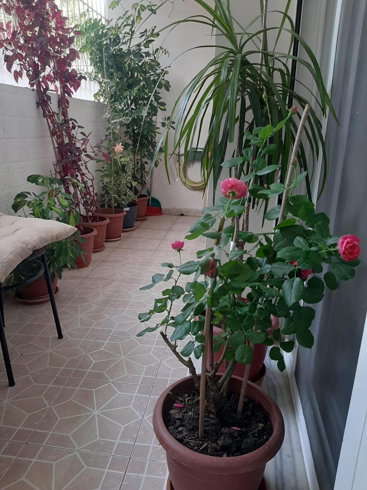Sofia'S Modern Apartment จีโรคาสเตอร์ ภายนอก รูปภาพ